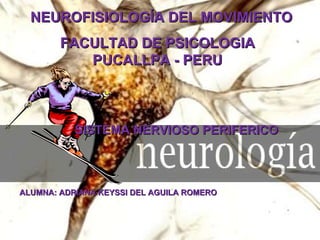 SISTEMA NERVIOSO PERIFERICO NEUROFISIOLOGÍA DEL MOVIMIENTO SISTEMA NERVIOSO PERIFERICO ALUMNA: ADRIANA KEYSSI DEL AGUILA ROMERO FACULTAD DE PSICOLOGIA PUCALLPA - PERU 