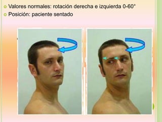  Valores normales: rotación derecha e izquierda 0-60°
 Posición: paciente sentado
 