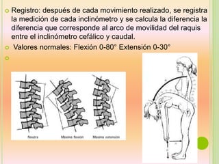  Registro: después de cada movimiento realizado, se registra
la medición de cada inclinómetro y se calcula la diferencia la
diferencia que corresponde al arco de movilidad del raquis
entre el inclinómetro cefálico y caudal.
 Valores normales: Flexión 0-80° Extensión 0-30°

 