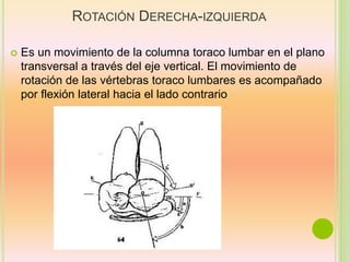 ROTACIÓN DERECHA-IZQUIERDA
 Es un movimiento de la columna toraco lumbar en el plano
transversal a través del eje vertical. El movimiento de
rotación de las vértebras toraco lumbares es acompañado
por flexión lateral hacia el lado contrario
 