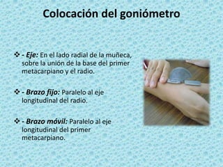Colocación del goniómetro
- Eje: En el lado radial de la muñeca,
sobre la unión de la base del primer
metacarpiano y el radio.
- Brazo fijo: Paralelo al eje
longitudinal del radio.
- Brazo móvil: Paralelo al eje
longitudinal del primer
metacarpiano.
 