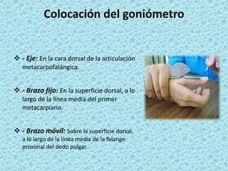 Colocación del goniómetro
 - Eje: En la cara dorsal de la articulación
metacarpofalángica.
 - Brazo fijo: En la superficie dorsal, a lo
largo de la línea media del primer
metacarpiano.
 - Brazo móvil: Sobre la superficie dorsal,
a lo largo de la línea media de la falange
proximal del dedo pulgar.
 