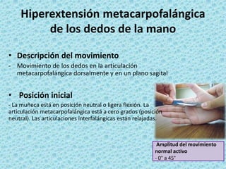 • Descripción del movimiento
- Movimiento de los dedos en la articulación
metacarpofalángica dorsalmente y en un plano sagital
• Posición inicial
- La muñeca está en posición neutral o ligera flexión. La
articulación metacarpofalángica está a cero grados (posición
neutral). Las articulaciones interfalángicas están relajadas.
Hiperextensión metacarpofalángica
de los dedos de la mano
Amplitud del movimiento
normal activo
- 0° a 45°
 