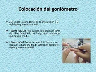 Colocación del goniómetro
 Eje: Sobre la cara dorsal de la articulación IFD
del dedo que se va a medir.
 - Brazo fijo: Sobre la superficie dorsal a lo largo
de la línea media de la falange media del dedo
que se va a medir.
 - Brazo móvil: Sobre la superficie dorsal a lo
largo de la línea media de la falange distal del
dedo que se va a medir.
 