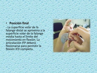 • Posición final
- La superficie volar de la
falange distal se aproxima a la
superficie volar de la falange
media hasta el límite del
movimiento en flexión. La
articulación IFP deberá
flexionarse para permitir la
flexión IFD completa.
 