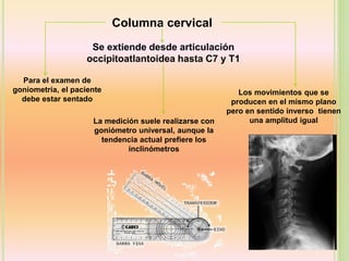 Columna cervical
Se extiende desde articulación
occipitoatlantoidea hasta C7 y T1
Los movimientos que se
producen en el mismo plano
pero en sentido inverso tienen
una amplitud igual
Para el examen de
goniometría, el paciente
debe estar sentado
La medición suele realizarse con
goniómetro universal, aunque la
tendencia actual prefiere los
inclinómetros
 