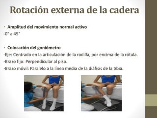 Rotación externa de la cadera
• Amplitud del movimiento normal activo
-0° a 45°
• Colocación del goniómetro
-Eje: Centrado en la articulación de la rodilla, por encima de la rótula.
-Brazo fijo: Perpendicular al piso.
-Brazo móvil: Paralelo a la línea media de la diáfisis de la tibia.
 