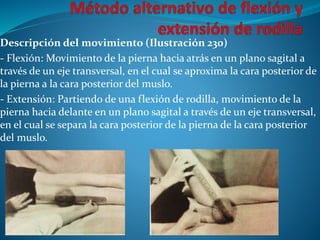 Descripción del movimiento (Ilustración 230)
- Flexión: Movimiento de la pierna hacia atrás en un plano sagital a
través de un eje transversal, en el cual se aproxima la cara posterior de
la pierna a la cara posterior del muslo.
- Extensión: Partiendo de una flexión de rodilla, movimiento de la
pierna hacia delante en un plano sagital a través de un eje transversal,
en el cual se separa la cara posterior de la pierna de la cara posterior
del muslo.
 