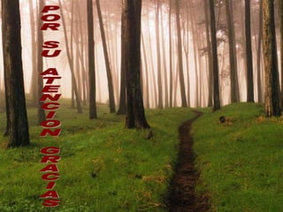 POR SU ATENCION GRACIAS  