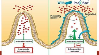 Vertus
antioxydant :
in vitro lactobacillus
GG(lactobacillus
acidophillus et bifi
dobactérium longum ,
streptococcus
thermophilus) est
capable d’éliminer les
radicaux superoxides,
d’empêcher
la peroxydation des
lipides
Effet barrière:
Equilibre de la flore
intestinale avec
• augmentation de la
population de
probiotiques.
• Exclusion des
pathogènes.
• inhibition de la croissance
des germes
potentiellement
pathogènes.
Prévention ou
traitement de la
diarrhée :
Saccharomyces boulardii
possède une activité anti-
diarrhéique en sécrétant
une protéase capable de
digérer les protéines
exotoxiques induites par
clostridium, et semble
diminuer la diarrhée et
l’inflammation du colon .
 