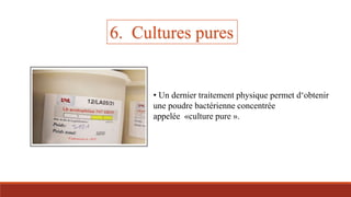 • Un dernier traitement physique permet d‘obtenir
une poudre bactérienne concentrée
appelée «culture pure ».
6. Cultures pures
 