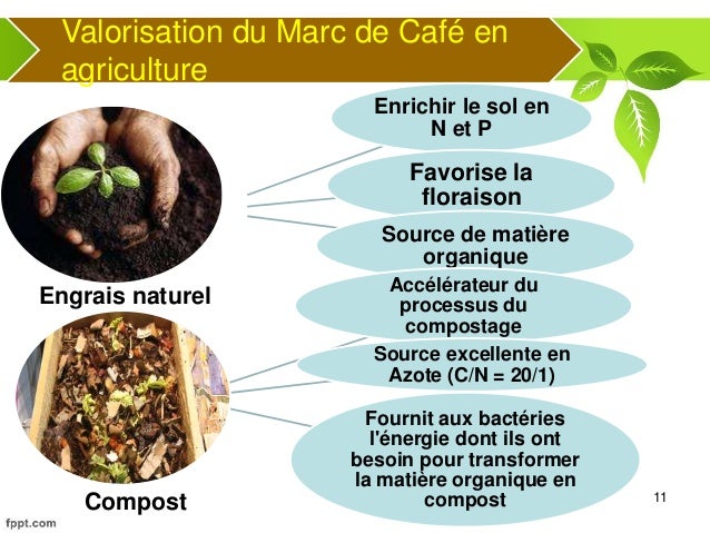 Compost Marc De Caf Ef Bf Bd Compost Marc De Caf Ef Bf Bd