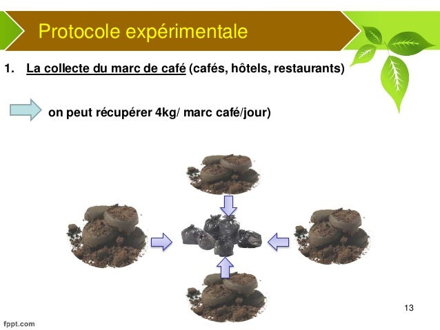 Que Faire Avec Du Marc De Caf Ef Bf Bd Et Les Fourmis Que Faire Avec Du Marc De Caf Ef Bf Bd Et Les Fourmis