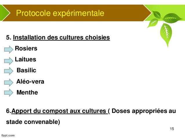 Marc A Caf Ef Bf Bd Plantes Marc A Caf Ef Bf Bd Plantes