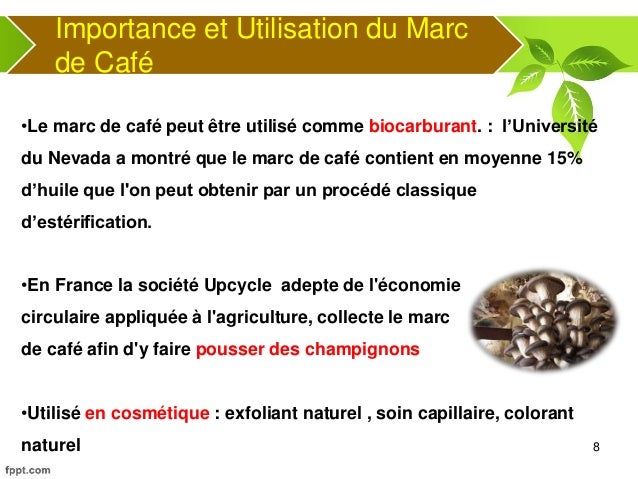 Faire Pousser Des Champignons Sur Du Marc De Caf Ef Bf Bd Faire Pousser Des Champignons Sur Du Marc De Caf Ef Bf Bd
