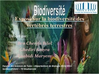 Exposé sur la biodiversité des
vertébrés terrestres
Ben Cherifa Bilel
Ghediri Amyra
Laabidi Maryem
Faculté des Sciences de Tunis – Département de Biologie 2014/2015
Section LFSNA3 – TD Biodiversité
Elaboré par:
 