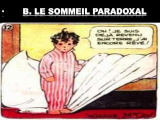 • B. LE SOMMEIL PARADOXAL
 