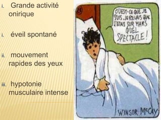 i. Grande activité
onirique
i. éveil spontané
ii. mouvement
rapides des yeux
iii. hypotonie
musculaire intense
 