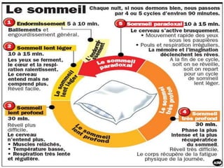 Exposé sur le sommeil et EEG