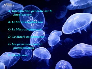 A- Introduction générale sur le
Zooplancton
B- Le Micro zooplancton
C- Le Méso zooplancton
D- Le Macro zooplancton
E- Les gélatineux macro
planctoniques
F- Conclusion
 