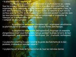 • le plancton animal, zooplancton:
regroupe des organismes unicellulaires ou pluricellulaires qui, comme
tous les animaux, consomment de la matière organique déjà constituée. Les
organismes qui le composent ont une densité légèrement supérieure a l’eau, ils
sont donc confrontés à un problème: ne pas couler. Il remonte la nuit vers la
surface pour se nourrir de phytoplancton et redescend pendant la journée vers
les eaux plus profondes. Il échappe ainsi aux prédateurs et économise de
l’énergie car la température est moins élevée.
• composé de deux groupes :
- le zooplancton permanent (Holoplancton) : organismes unicellulaires
ou pluricellulaires qui passent toute leur vie sous forme planctonique.
- le zooplancton temporaire (Méroplancton) : regroupe un ensemble
d’organismes vivant sous forme planctonique pendant la phase larvaire de leur
développement, pour ensuite devenir benthiques (ex : crustacés, mollusques).
• Le plancton constitue la quasi-totalité du poids des habitants de la mer,
poissons, crustacés et baleines compris !
• Le plancton est la base de l’alimentation de tous les individus marins.
 