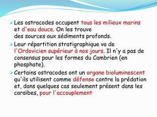 Les ostracodes occupent tous les milieux marins
et d'eau douce. On les trouve
des sources aux sédiments profonds.
Leur répartition stratigraphique va de
l'Ordovicien supérieur à nos jours. Il n'y a pas de
consensus pour les formes du Cambrien (en
phosphate).
Certains ostracodes ont un organe bioluminescent
qu'ils utilisent comme défense contre la prédation
et, dans quelques cas seulement présent dans les
caraïbes, pour l'accouplement.
 
