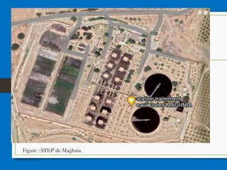 Figure : STEP de Maghnia
 