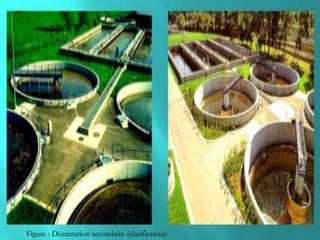 Figure : Décantation secondaire (clarificateur)
 