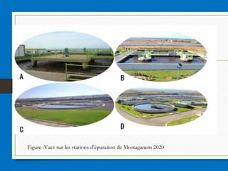 Figure :Vues sur les stations d’épuration de Mostaganem 2020
 