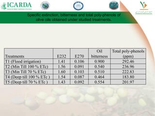Treatments E232 E270
Oil
bitterness
Total poly-phenols
(ppm)
T1 (Flood irrigation) 1.41 0.106 0.900 292.46
T2 (Min Till 100 % ETc) 1.56 0.091 0.540 236.96
T3 (Min Till 70 % ETc) 1.60 0.103 0.510 222.83
T4 (Deep till 100 % ETc ) 1.54 0.087 0.464 183.80
T5 (Deep till 70 % ETc ) 1.43 0.092 0.554 201.97
Specific extinction, bitterness and total poly-phenols of
olive oils obtained under studied treatments.
 