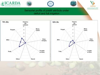 Sensoriel profils of positif attributs under
deficit and full irrigation
 