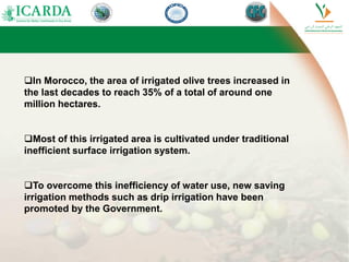 In Morocco, the area of irrigated olive trees increased in
the last decades to reach 35% of a total of around one
million hectares.
Most of this irrigated area is cultivated under traditional
inefficient surface irrigation system.
To overcome this inefficiency of water use, new saving
irrigation methods such as drip irrigation have been
promoted by the Government.
 