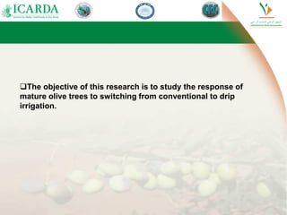 The objective of this research is to study the response of
mature olive trees to switching from conventional to drip
irrigation.
 