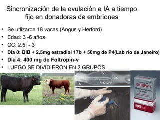 Sincronización de la ovulación e IA a tiempo
fijo en donadoras de embriones
• Se utlizaron 18 vacas (Angus y Herford)
• Edad: 3 -6 años
• CC: 2.5 - 3
• Día 0: DIB + 2.5mg estradiol 17b + 50mg de P4(Lab rio de Janeiro)
• Día 4: 400 mg de Foltropin-v
• LUEGO SE DIVIDIERON EN 2 GRUPOS
 
