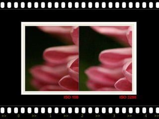 ISO 100                ISO 3200



>>   0   >>   1   >>        2   >>   3      >>      4   >>
 