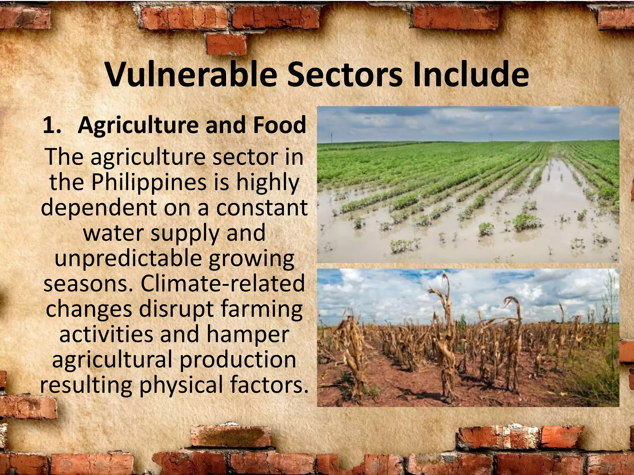 Vulnerable Sectors Include
1. Agriculture and Food
The agriculture sector in
the Philippines is highly
dependent on a constant
water supply and
unpredictable growing
seasons. Climate-related
changes disrupt farming
activities and hamper
agricultural production
resulting physical factors.
 