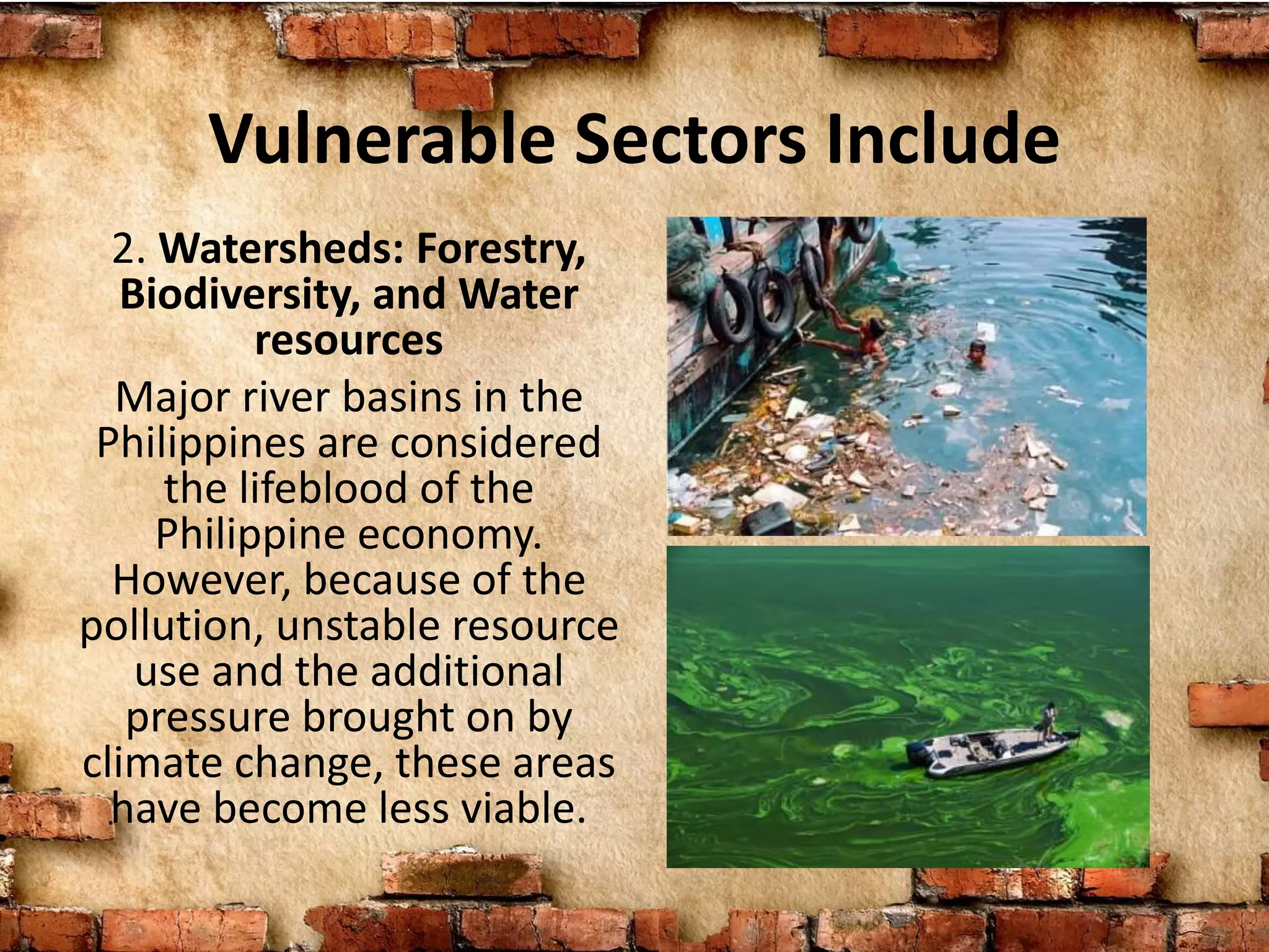 Vulnerable Sectors Include
2. Watersheds: Forestry,
Biodiversity, and Water
resources
Major river basins in the
Philippines are considered
the lifeblood of the
Philippine economy.
However, because of the
pollution, unstable resource
use and the additional
pressure brought on by
climate change, these areas
have become less viable.
 