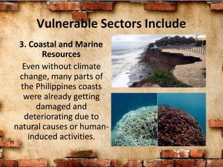 Vulnerable Sectors Include
3. Coastal and Marine
Resources
Even without climate
change, many parts of
the Philippines coasts
were already getting
damaged and
deteriorating due to
natural causes or human-
induced activities.
 