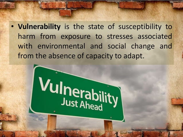 Exposure and Vulnerability (DRRR) | PPTX