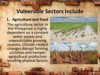 Vulnerable Sectors Include
1. Agriculture and Food
The agriculture sector in
the Philippines is highly
dependent on a constant
water supply and
unpredictable growing
seasons. Climate-related
changes disrupt farming
activities and hamper
agricultural production
resulting physical factors.
 