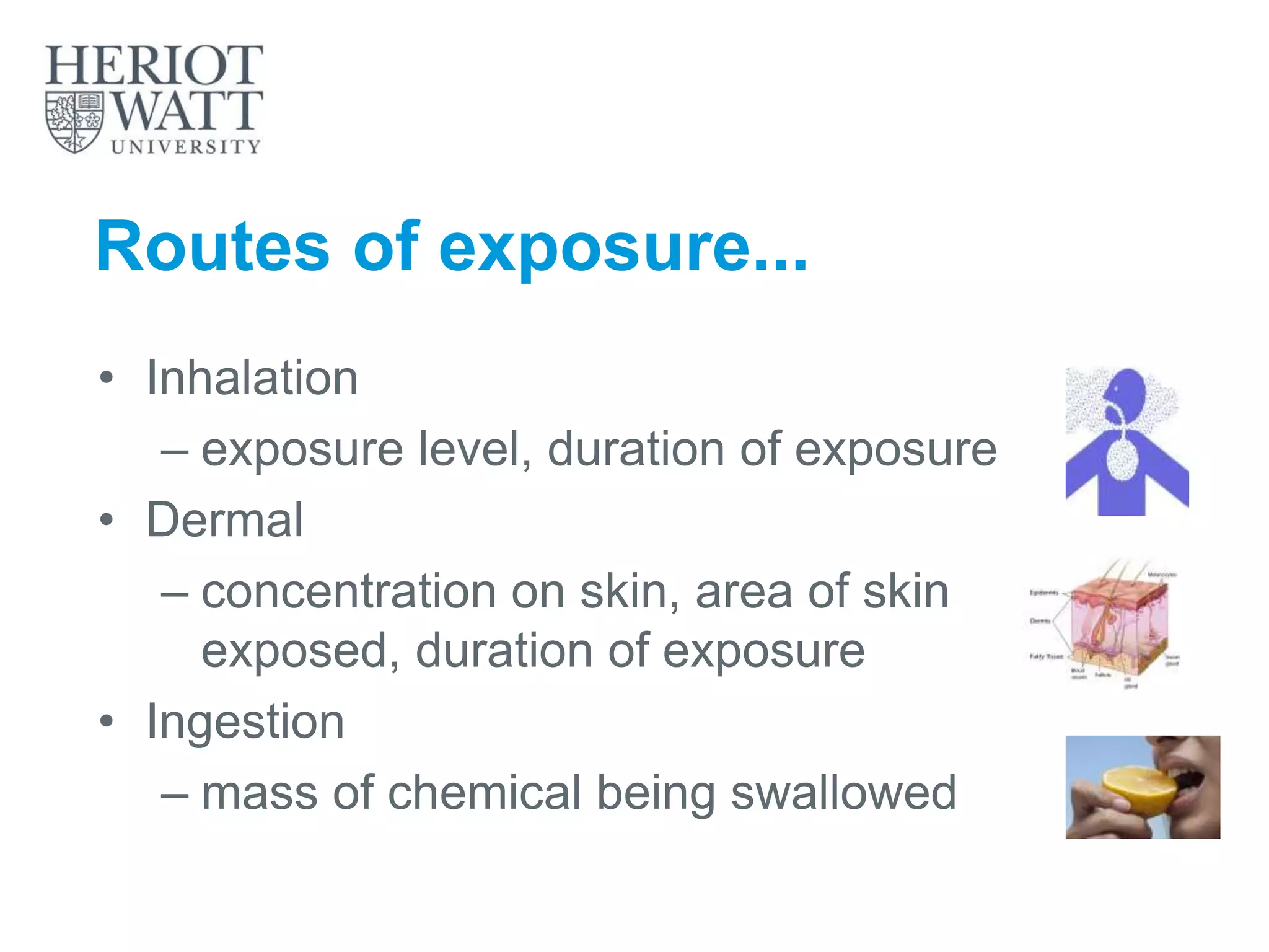 Routes of exposure...
• Inhalation
– exposure level, duration of exposure
• Dermal
– concentration on skin, area of skin
exposed, duration of exposure
• Ingestion
– mass of chemical being swallowed
 