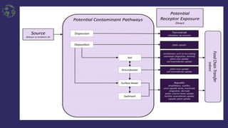 Exposure Pathways | PPTX