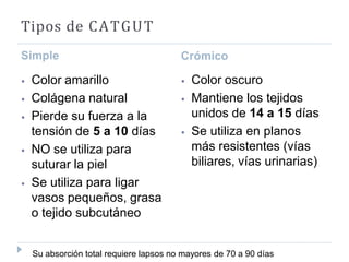Tipos de CATGUT
Simple
⦁ Color amarillo
⦁ Colágena natural
⦁ Pierde su fuerza a la
tensión de 5 a 10 días
⦁ NO se utiliza para
suturar la piel
⦁ Se utiliza para ligar
vasos pequeños, grasa
o tejido subcutáneo
Crómico
⦁ Color oscuro
⦁ Mantiene los tejidos
unidos de 14 a 15 días
⦁ Se utiliza en planos
más resistentes (vías
biliares, vías urinarias)
Su absorción total requiere lapsos no mayores de 70 a 90 días
 