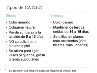 Tipos de CATGUT
Simple Crómico
 Color amarillo
 Colágena natural
 Pierde su fuerza a la
tensión de 5 a 10 días
 NO se utiliza para
suturar la piel
 Se utiliza para ligar
vasos pequeños, grasa
o tejido subcutáneo
 Color oscuro
 Mantiene los tejidos
unidos de 14 a 15 días
 Se utiliza en planos
más resistentes (vías
biliares, vías urinarias)
Su absorción total requiere lapsos no mayores de 70 a 90 días
 