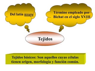 Del latín texere             Término empleado por
                             Bichat en el siglo XVIII




                   Tejidos


Tejidos básicos: Son aquellos cuyas células
tienen origen, morfología y función común.
 