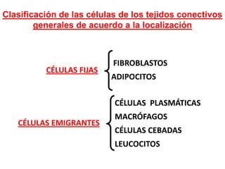 Clasificación de las células de los tejidos conectivos
        generales de acuerdo a la localización



                           FIBROBLASTOS
          CÉLULAS FIJAS
                          ADIPOCITOS

                           CÉLULAS PLASMÁTICAS
                           MACRÓFAGOS
   CÉLULAS EMIGRANTES
                           CÉLULAS CEBADAS
                           LEUCOCITOS
 