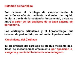 Nutrición del Cartílago

Por carecer el cartílago de vascularización, la
nutrición se efectúa mediante la difusión del líquido
tisular a través de la sustancia fundamental, o sea, se
nutre a partir de los capilares de la capa externa del
pericondrio.

Los cartílagos articulares y el fibrocartílago, que
carecen de pericondrio, se nutren del líquido sinovial.

Crecimiento del Cartílago

El crecimiento del cartílago se efectúa mediante dos
tipos de mecanismos: crecimiento por aposición o
exógeno y crecimiento intersticial o endógeno.
 