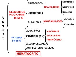 Neutrófilos
                ERITROCITOS
                                 GRANULOSOS     Eosinófilos

    ELEMENTOS LEUCOCITOS                        Basófilos
    FIGURADOS
S      45-50 %                                   Linfocitos
                              NO GRANULOSOS
A               PLAQUETAS
                                                 Monocitos
N
G              AGUA ( 90 %)       ALBÚMINAS
R              PROTEÍNAS (7 %)    GLOBULINAS
E    PLASMA
                                  FIBRINÓGENO
     50-55 %
               SALES INORGÁNICAS
               COMPUESTOS ORGÁNICOS

        HEMATOCRITO
 