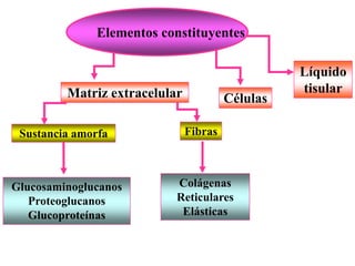 Elementos constituyentes

                                                  Líquido
         Matriz extracelular                      tisular
                                        Células

 Sustancia amorfa              Fibras



Glucosaminoglucanos        Colágenas
   Proteoglucanos          Reticulares
   Glucoproteínas           Elásticas
 