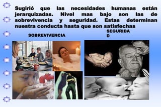 Períodos del desarrollo  